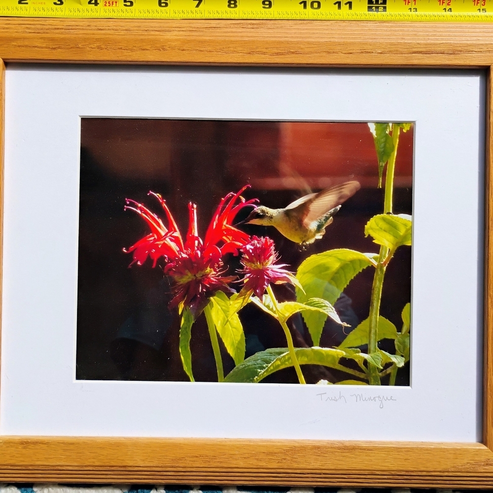 Floral Art Framed Print - Picture 4 of 6